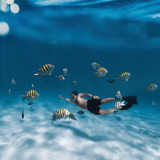 full-shot-man-swimming-with-fish